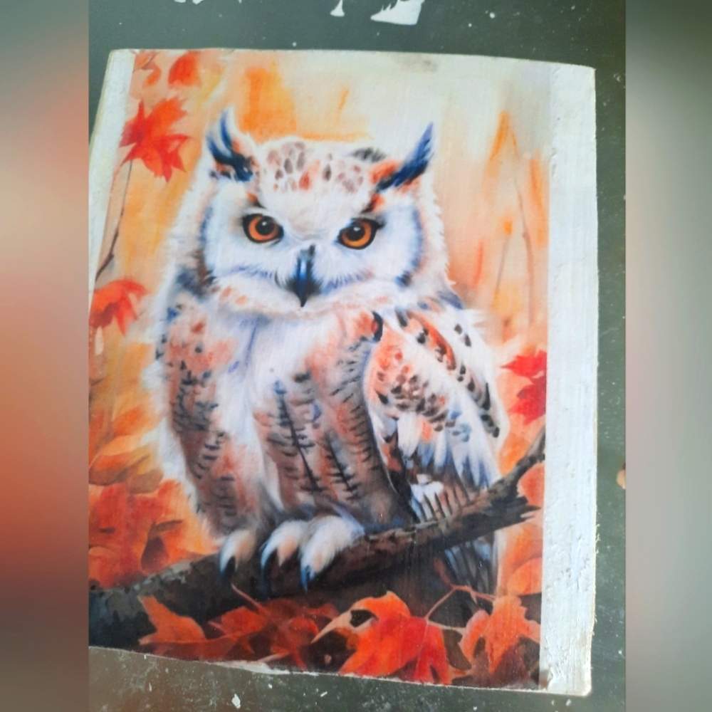 RESERVED ALISIA  / PENCILS ARTWORK AND SIGNED / 6 X 6 INCHES
